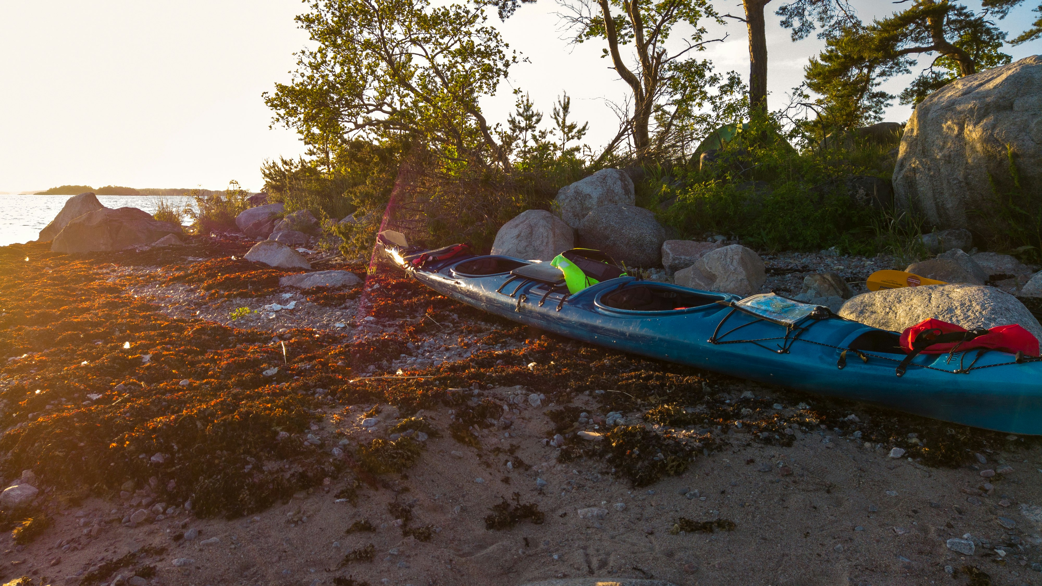 green and red canoe on brown soil